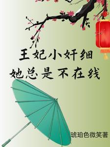 小王妃狠暴力